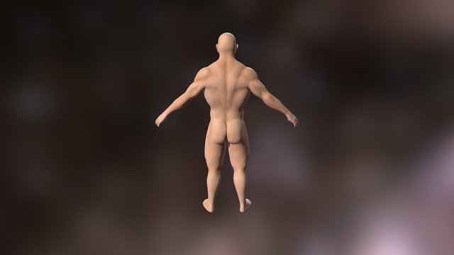 Male 3D Model