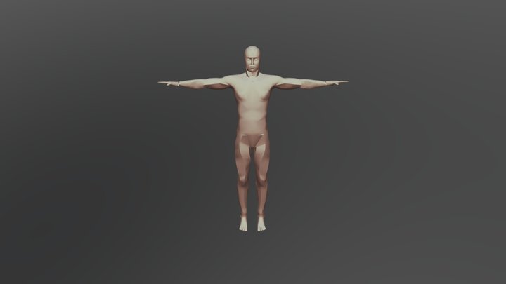 Cuerpo Sin Uni 3D Model