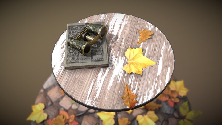 Old Binoculars 3D Model