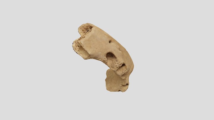 PNRP_B_5_25_121 3D Model