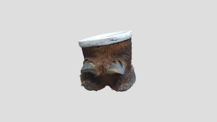 Mate Pezuña 3D Model
