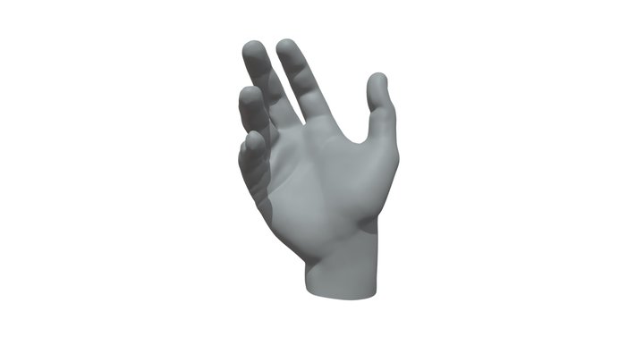 Male hand 3D Model