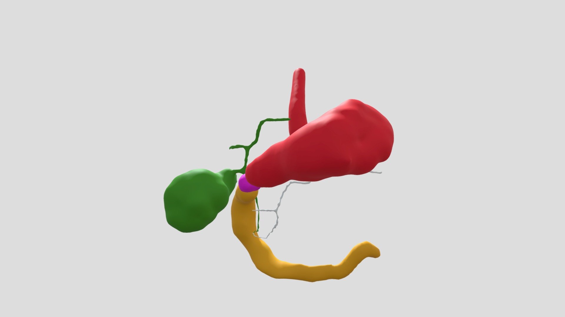 v-d-011-r-c-c-3d-model-by-surgiprint-2fd850b-sketchfab