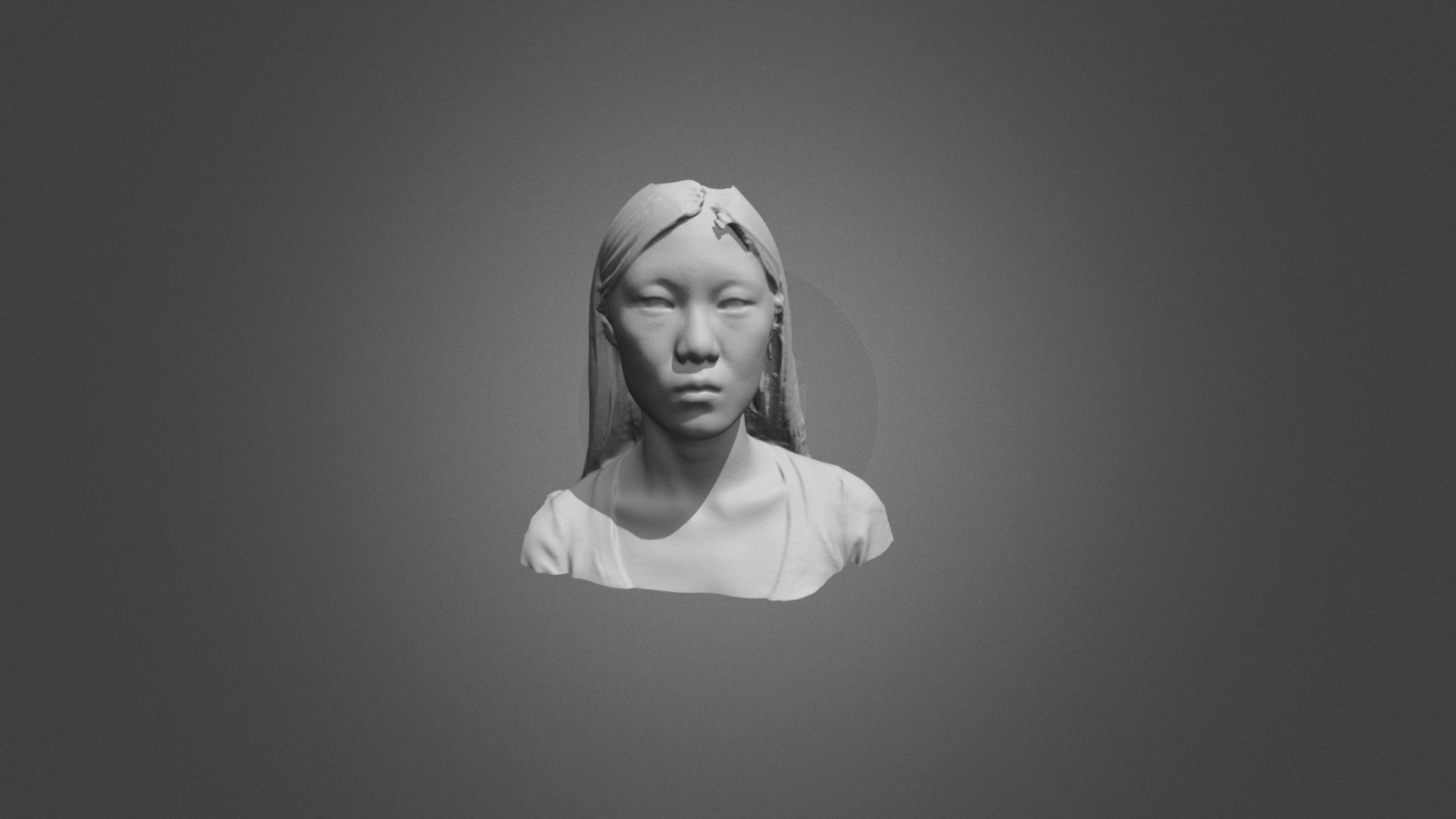 WHX-3D Selfie Mesh No Texture by POP (ply)