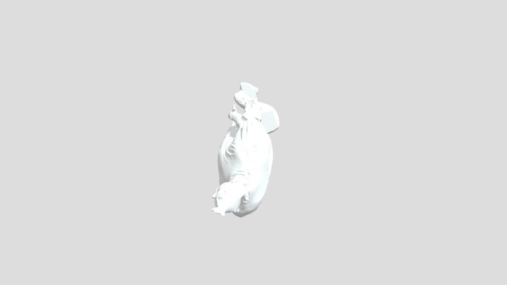 Tyler scan, Leo 3D Model