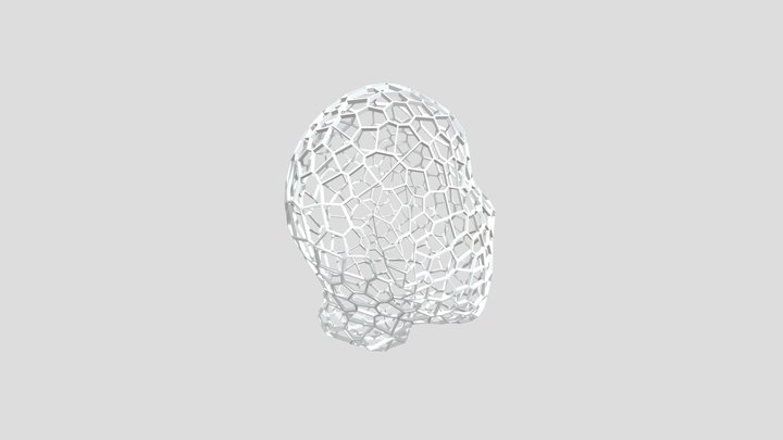 Voronoi Head 3D Model
