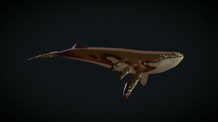 Whale 3D Model
