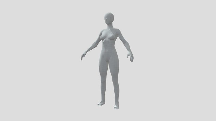 BodyTopology Study 3D Model