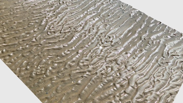 Wave ripples 3D Model