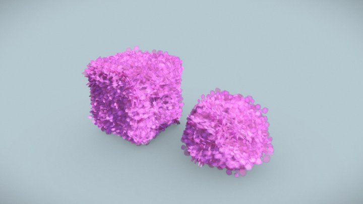 bush import test 3D Model