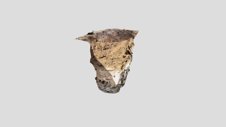 pit 22-1 whole 3D Model