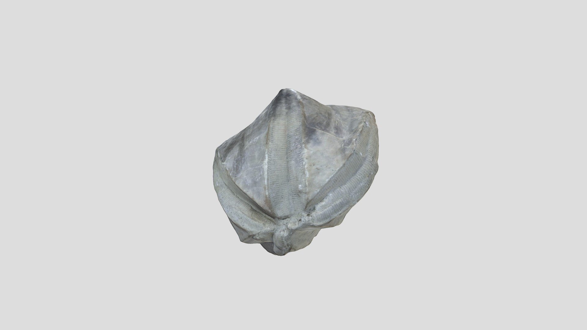 fossil model dw2