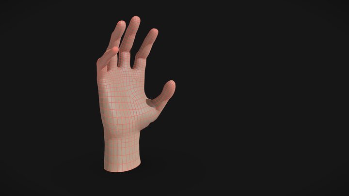 Hand topology study 3D Model