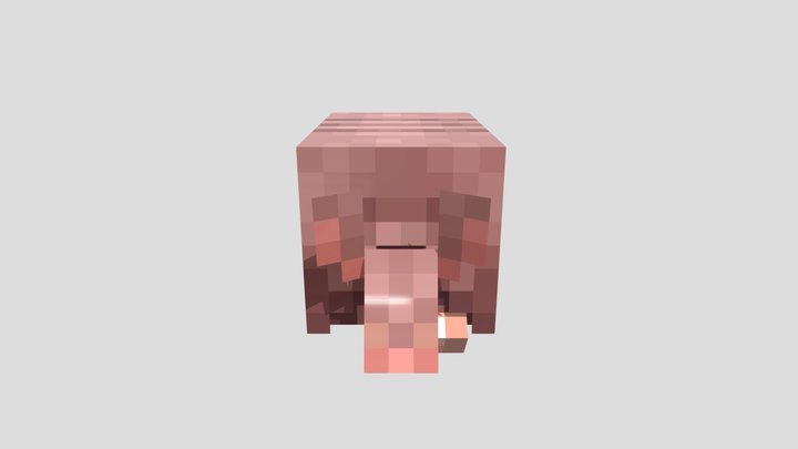 Official Minecraft Armadillo 3D Model