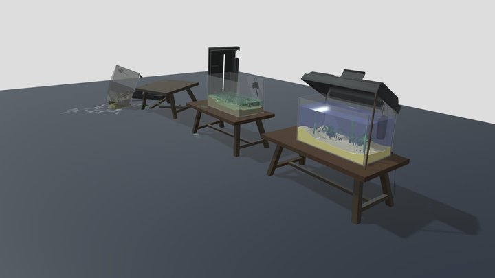 Fish tank XYZ Damage 3D Model