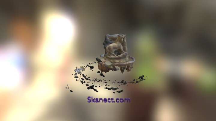 New Skanect Model 3D Model