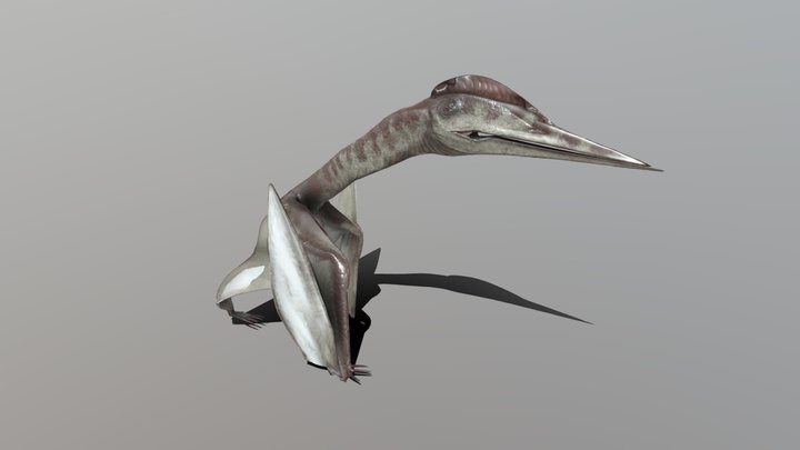 Hatzegopteryx WIP 3D Model