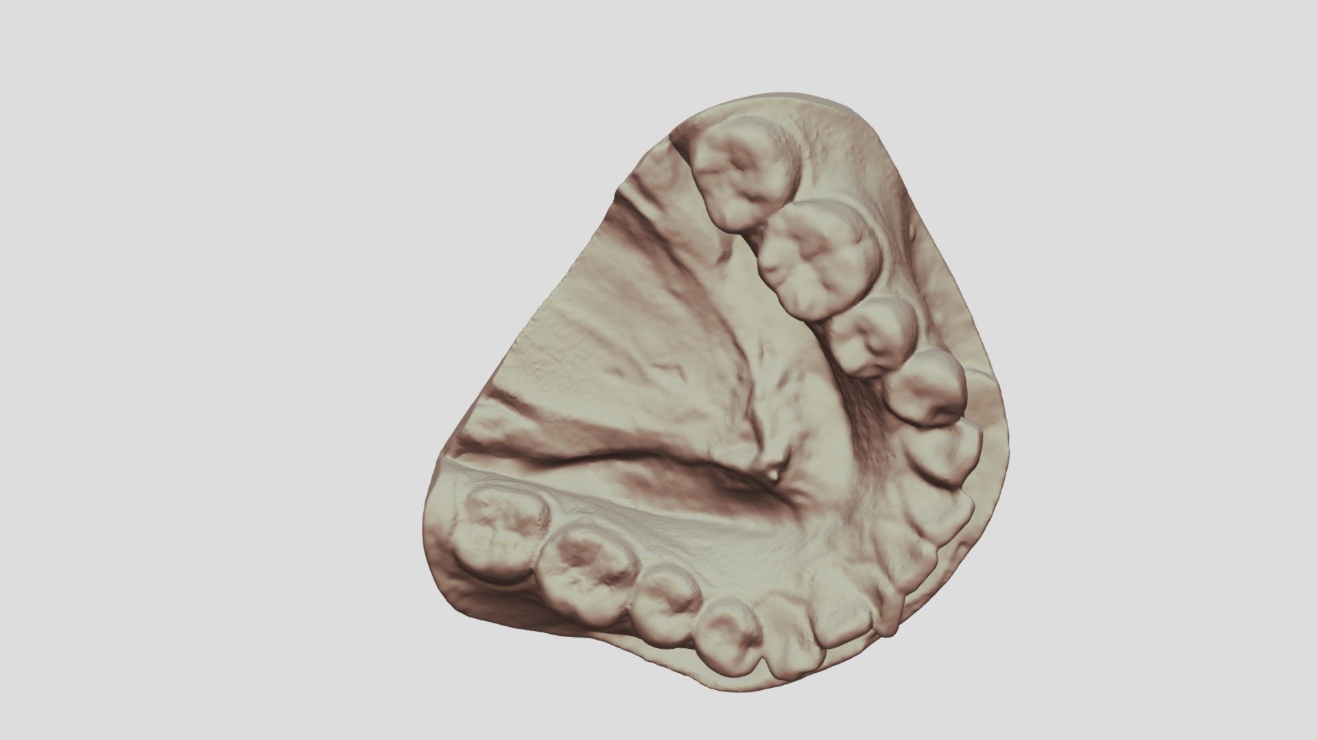 Tooth model（generated by Revopoint POP 2） — Sketchfab embed 3D viewer