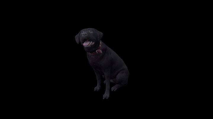 Dog 3D Model