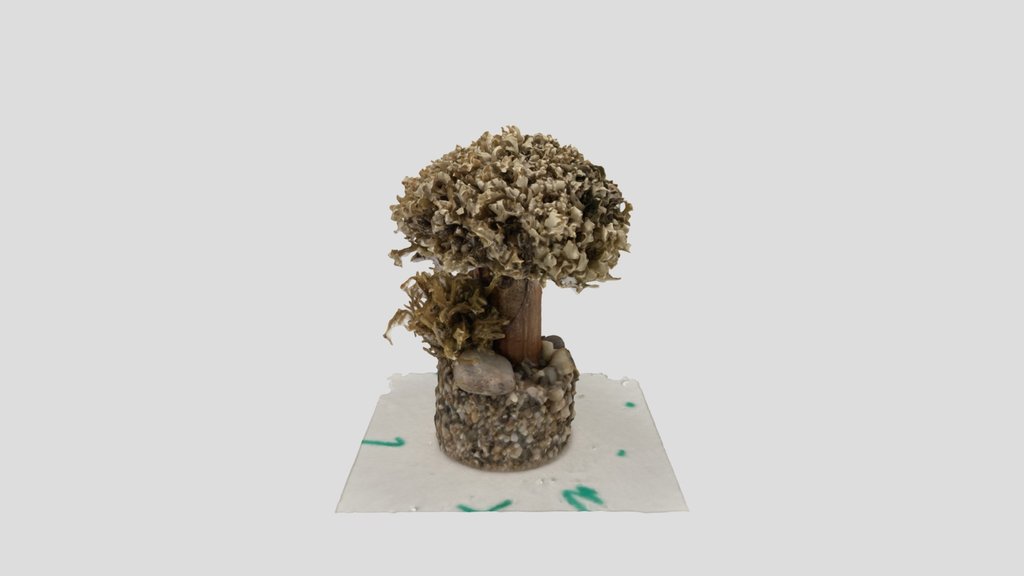 Treee