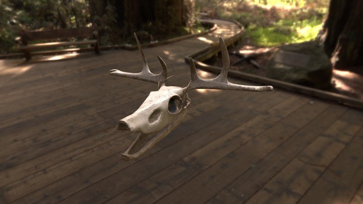 4_Eder_Jason_WendigoSkull 3D Model