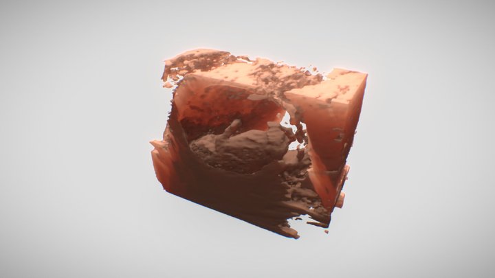 IMG_20220411_1_19 3D Model