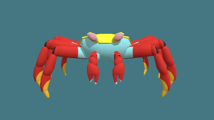 Grapsus Grapsus 3D Model