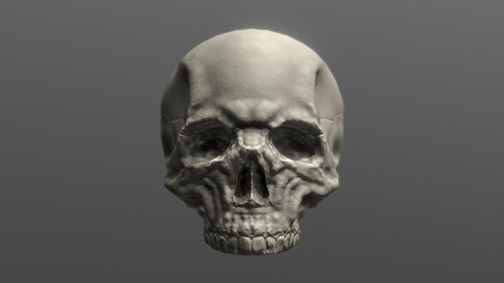 Skullette the skull 3D Model