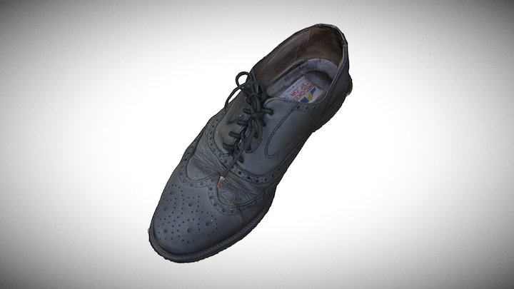 Shoe 1 raw model 3D Model