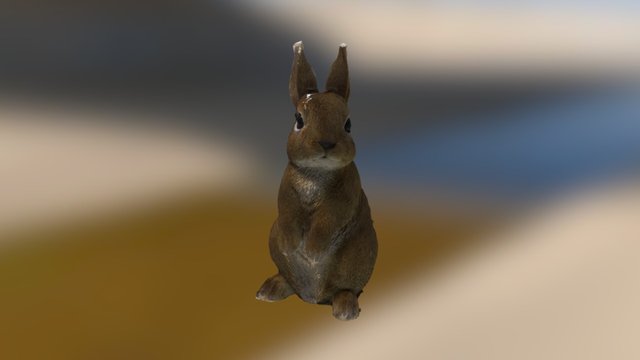 Rabbit 3D Model