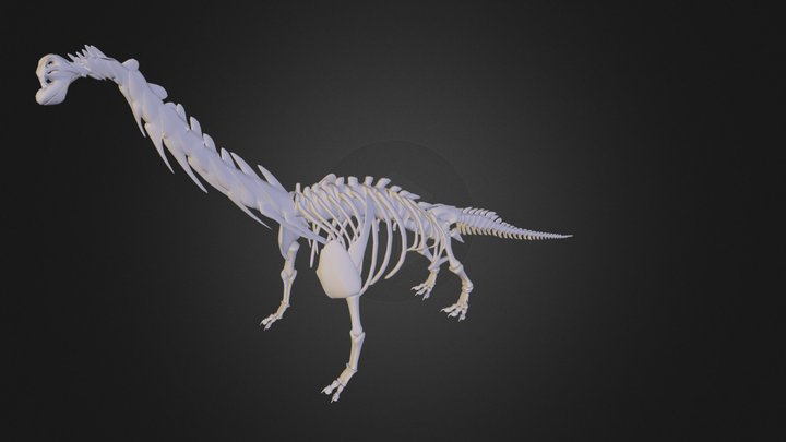 camarasaurus 3D Model