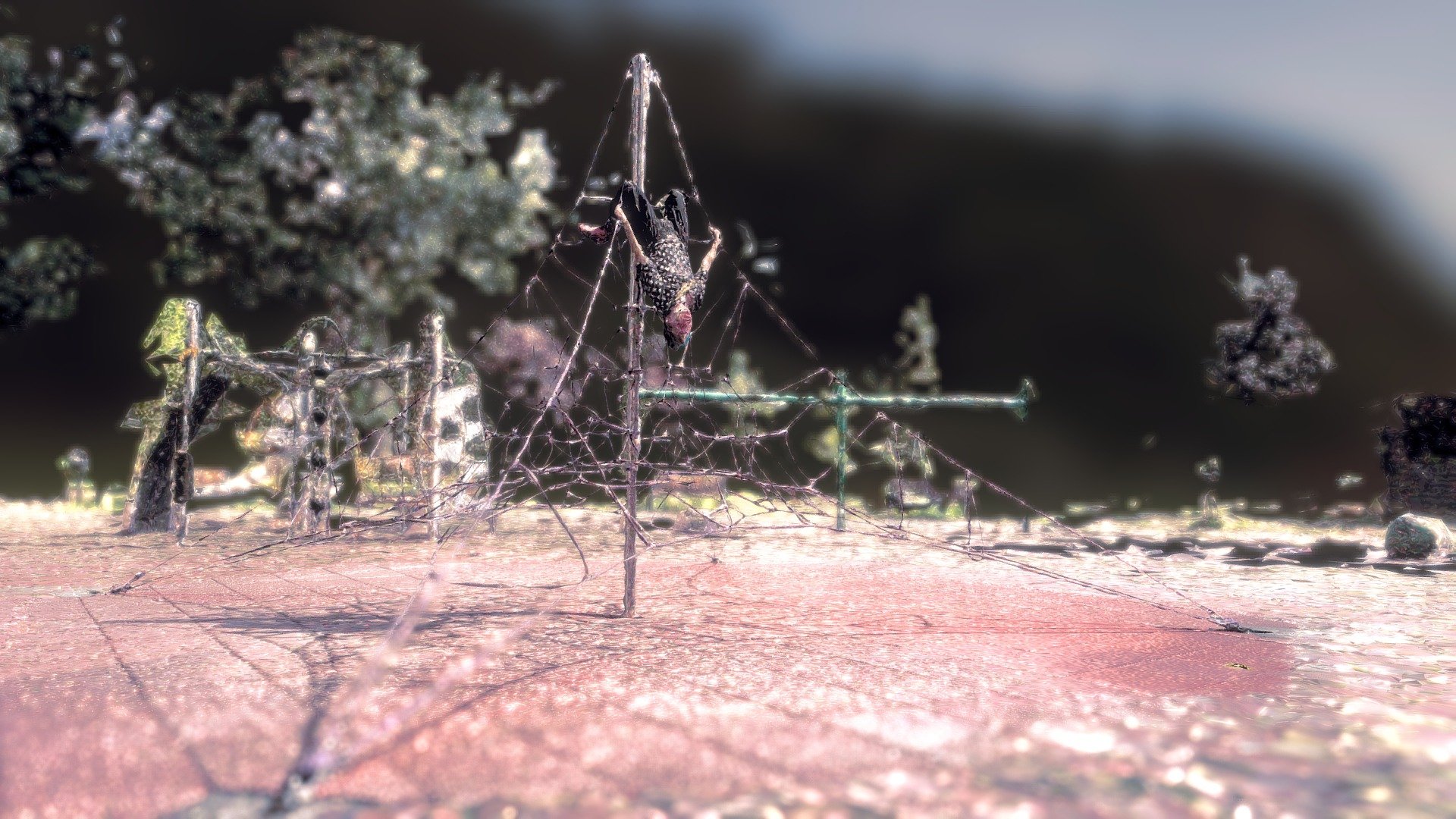 Playground. The Great Liman