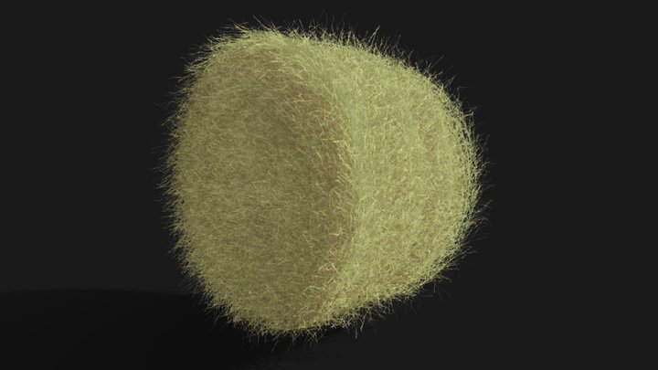 Hay Bale set 3D Model