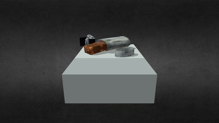POW_Kodak_Low_poly 3D Model