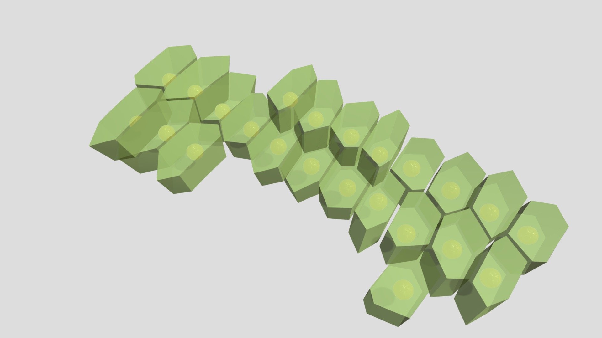 Plant cells