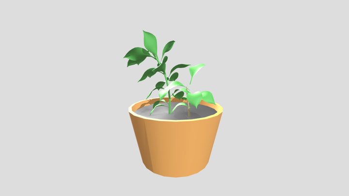 Potted_plant 3D Model