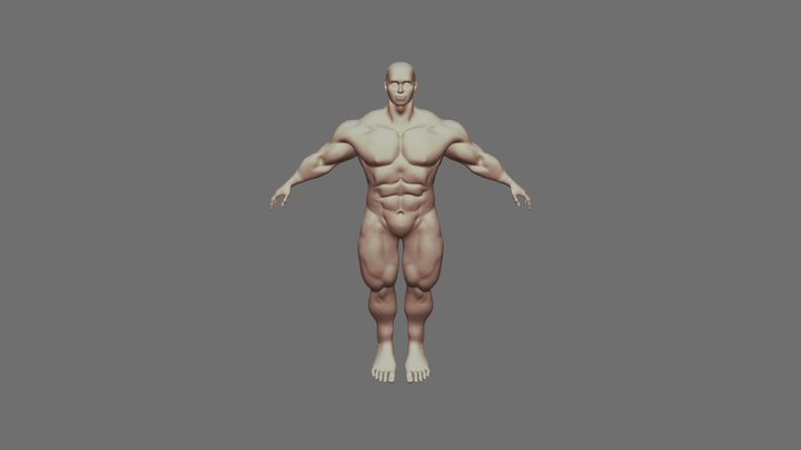 Muscular Male Anatomy Study 3D Model