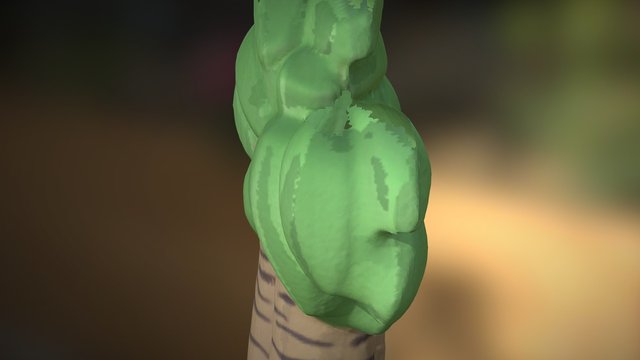 Palm Tree OBJ RW unprocessed textures 3D Model