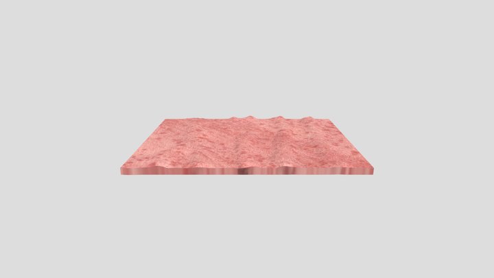 Flesh floor 2 3D Model