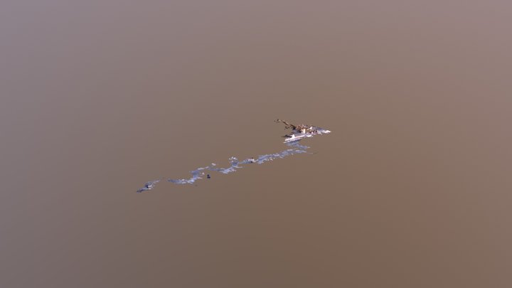20180523_084320 arcore 3D Model