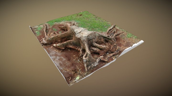 Meshroom + UHD video photogrammetry test 3D Model