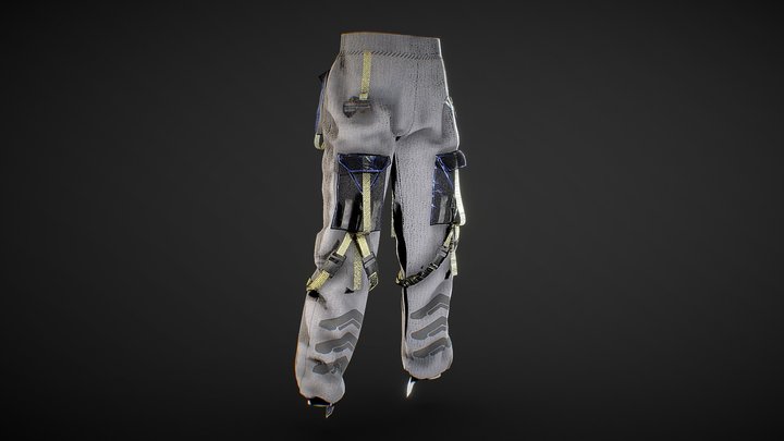 Tech-Wear Pants 3D Model