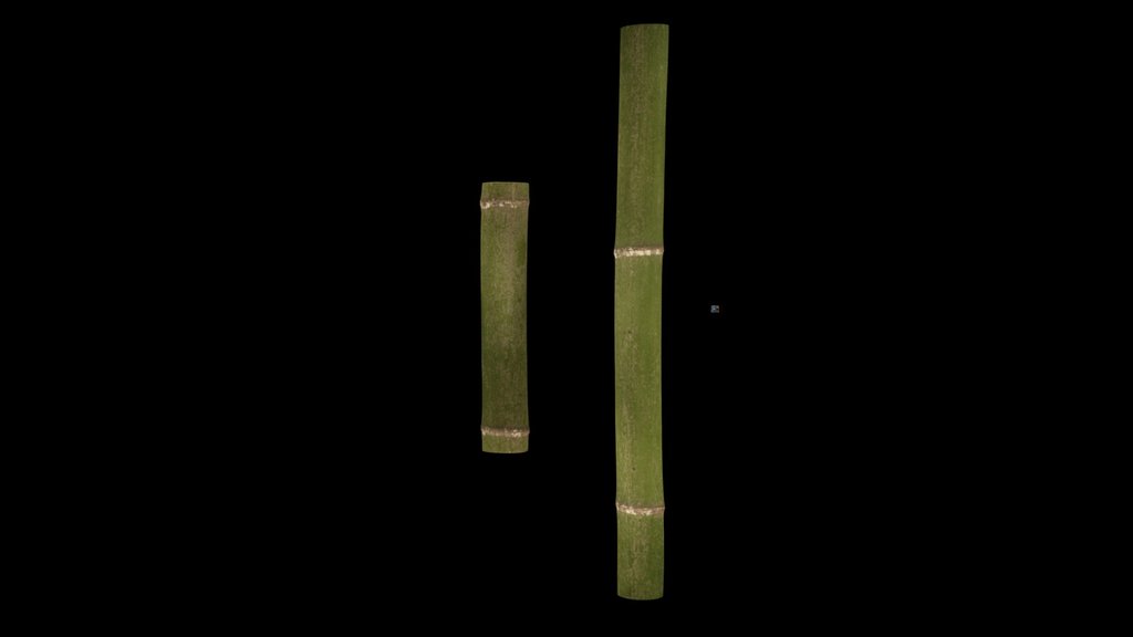 CC0 マダケ Timber Bamboo, Phyllostachys reticulata