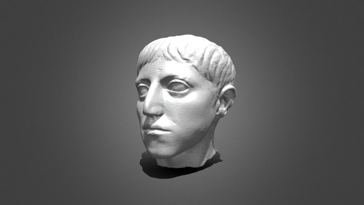 Roman Julio-Claudian Head of a Boy - 136709 3D Model