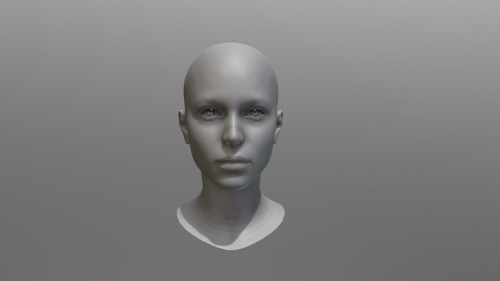 Female Head 3D Model
