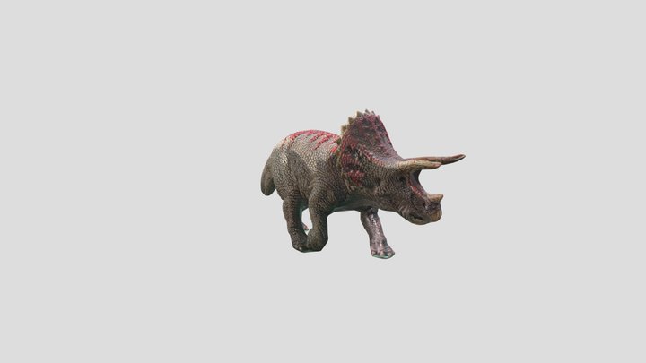 福袋セール】 dinos 3Dエクサウェーブ フルーツ⭐︎ dinos 