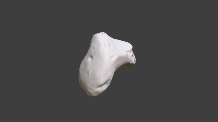 Right Trapezoid 3D Model