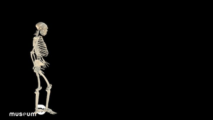 Spy Walk 07 3D Model