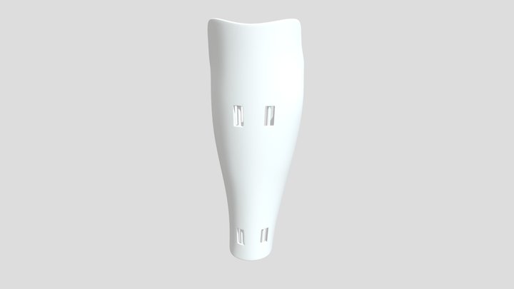 2_1 3D Model
