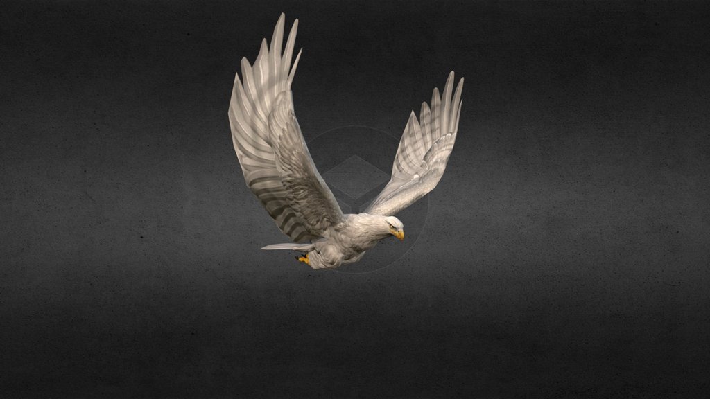 White Eagle Animation Fast Fly
